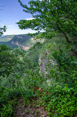 view of cloudland canyon state park in georgia, usa