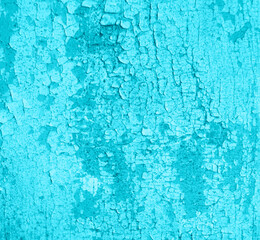 Old crackled teal turquoise painted wood surface. Vintage wooden wall or floor with cracked paint.