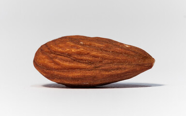 a macro shot of an almond