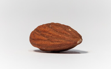 a macro shot of an almond