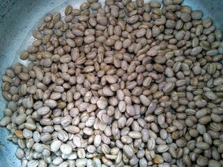white beans in a bowl