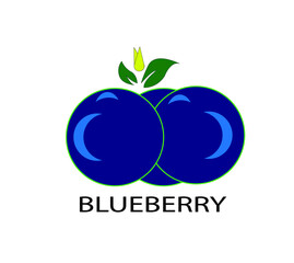 vector illustration of an apple