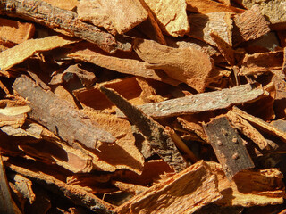 Close-up view of cinnamon bark
