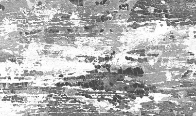 Old crackled black and white painted surface. Vintage wooden wall or floor with cracked paint.