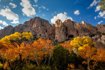 Late afternoon light spills over the landscape of Cave Creek Canyon illuminating the colorful...