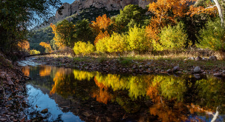 Fototapeta na wymiar Bright Fall foliage reflects in the waters of Cave Creek. Cave Creek Canyon in the Chiricahua Mountains near Portal, Arizona.