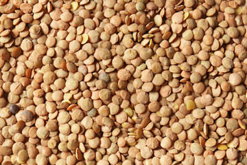 Heap of raw lentils as background