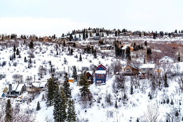 Snowy hill landscape with houses amid conifers and leafless trees in winter