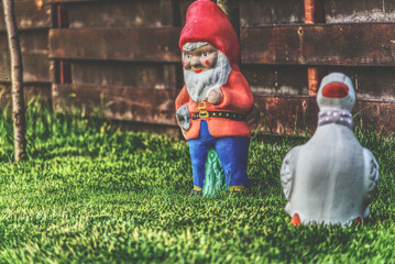 Garden dwarf in home garden. Gnome decoration.