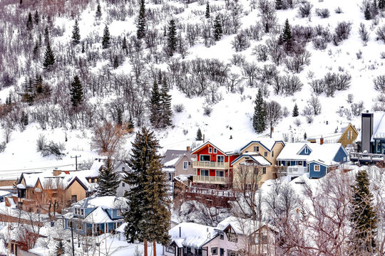 Colorful family homes against hill slope with conifers and thick snow in winter