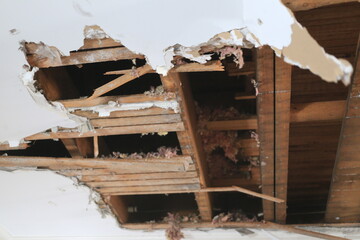 Dry removal during a construction project 