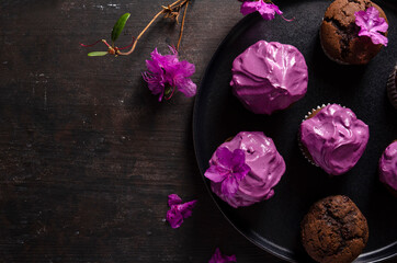 Chocolate cupcakes with beetroot cream on a dark background with flower - labrador tea or rhododendron