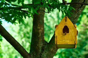 beautiful birdhouse hanging on a branch color