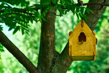 beautiful birdhouse hanging on a branch color