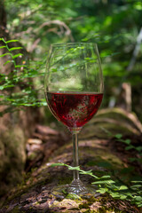Wine Glass on Log Forest Background