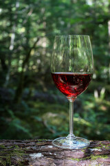 Wine Glass on Log Forest Background