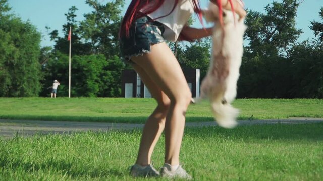 Young Happy Beautiful Woman Playing with a Small Dog on a Green Lawn in a Park. Love for Pets. Slow motion