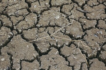 Landscape shot of dry brown soil with cracks