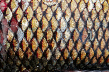 golden fish scales, texture solid background
