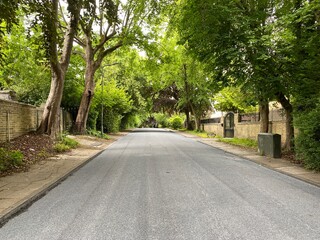 Large trees and walled gardens on, Park Drive, Heaton, Bradford, Yorkshire,
