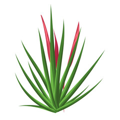 Jungle leaves and flowers 