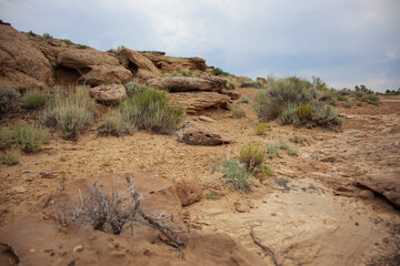 Sand Canyon