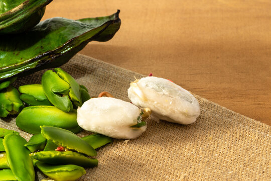 close-up of a fresh tropical ice cream beans fruit with green sheath, big eatable seeds, and snowy white sweet cover