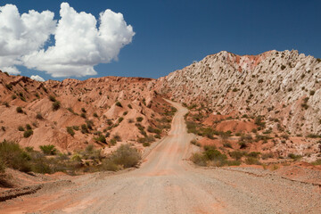 Traveling along the dirt road in Los Cardones National Park arid desert. 