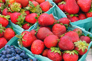 Containers of fresh berries at the farmers market
