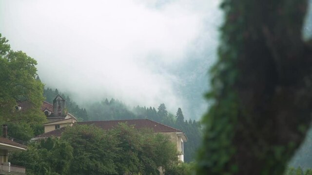 Foggy morning in Konitsa a traditional village in Epirus region in Greece, day shot of the forest view and ivy plant on front