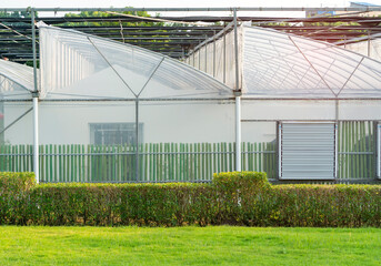 Fototapeta na wymiar greenhouses glass seedlings of flowers and plants the nature of the greenery growing flora for planting.