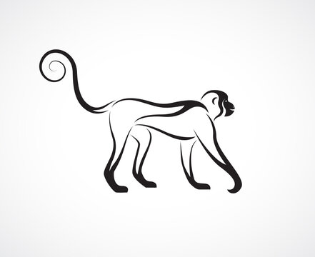 Vector of a monkey design on white background. Wild Animal.