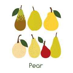 Pears. Colored Vector Illustration EPS