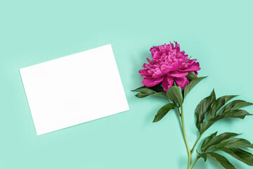 Red peony and blank sheet for text on mint colored background. Mock up invitations or holiday greetings. Valentines day, mothers day, wedding.