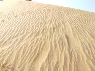 sand dunes in the desert