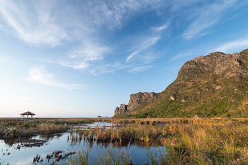 lotus pond nature park Prachuapkhirikhan Thailand