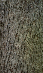 Obraz premium A day in Iowa