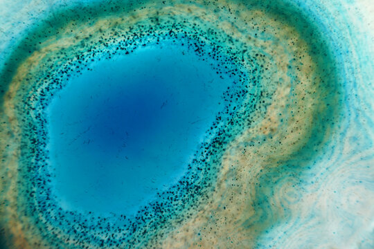 “Agate Stone” Images – Browse 686 Stock Photos, Vectors, and Video