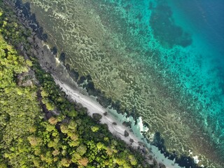 Ocean. Paradise beach. Blue water. Lagoon. View from the drone. Incredible colors. White sand. Palm trees. Corals in the water. Foto by drone.