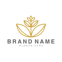 Gold line lotus logo vector art design