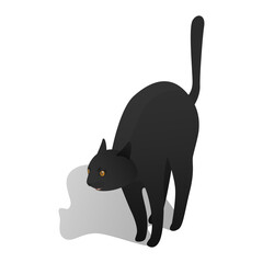 Isometric reared up cat