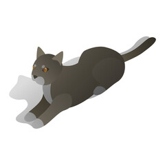 isometric lying cat