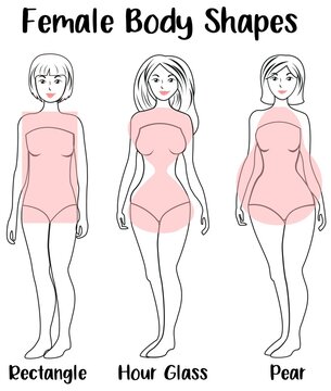 FEMALE BODY SHAPES RECTANGLE, HOUR GLASS, PEAR