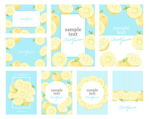 夏　フルーツ　グレープフルーツ　レモン　オレンジ　イラストセット