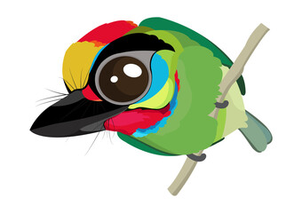 Red-throated barbet bird cartoon, Green bird cartoon, A cute of colorful bird.