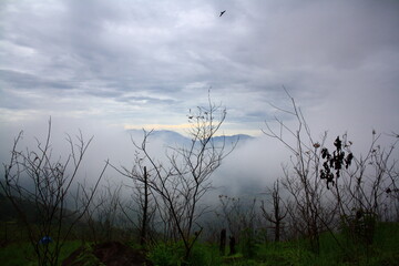 Mistical landscape with some dry trees in Mount Guntur, West Java, Indonesia. 