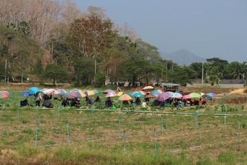 group of people walking on the beach