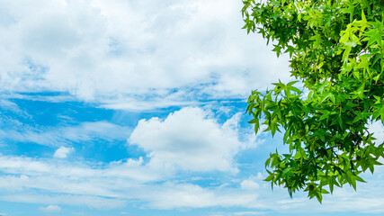 Obraz premium 青空と雲