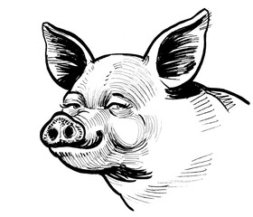 Happy smiling pig portrait. Ink black and white drawing