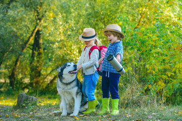 Naklejka na ściany i meble Children brother and sister and dog together in park. Children are hiking together with pet dog. Two children having trekking vacation day with dog pet having fun in nature. Full length portrait.
